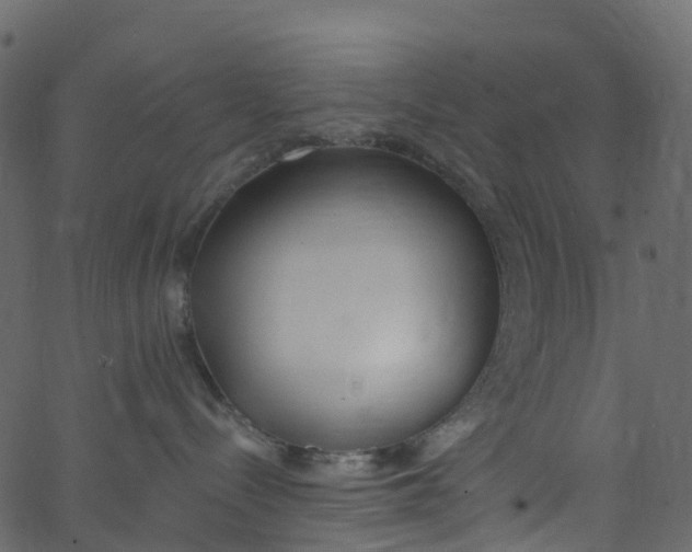 X0000062690288200601111344