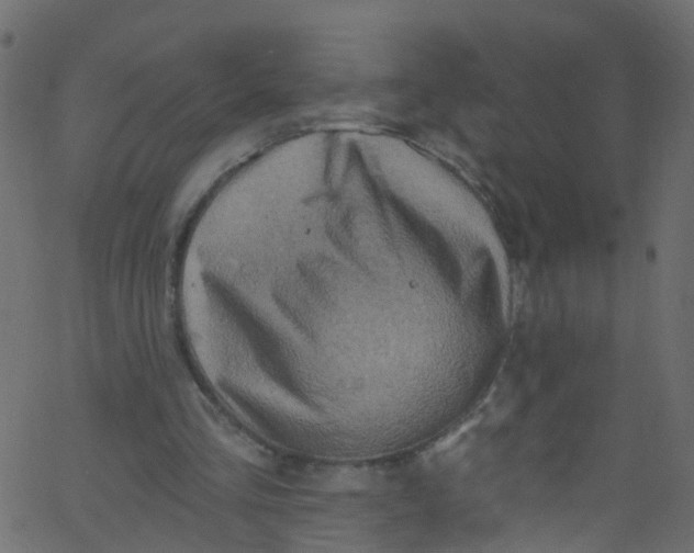 X0000062690293200601111343