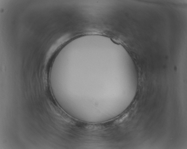 X0000062690343200601111341