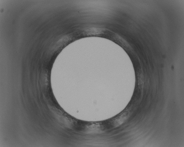 X0000062690362200601111342