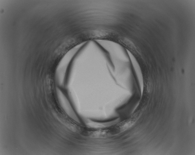 X0000062690366200601111342