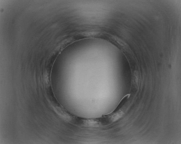 X0000062690380200601111342