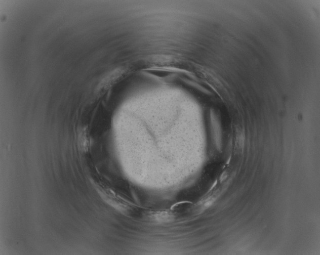 X0000062690383200601111342