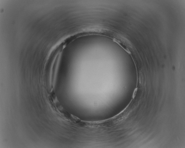 X0000062690388200601111341