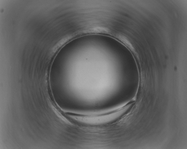 X0000062690389200601111341