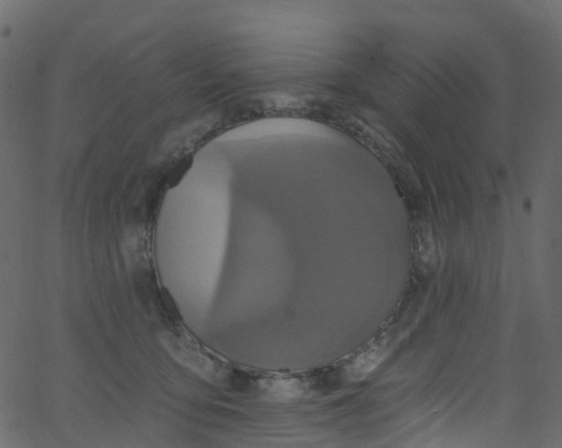 X0000062690419200601111341