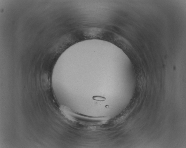 X0000062690420200601111341