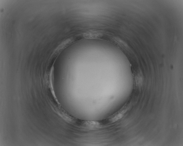 X0000062690429200601111340