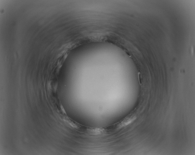 X0000062690432200601111340