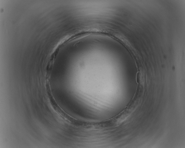 X0000062690434200601111340