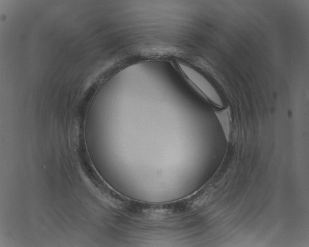 X0000062690448200601111340