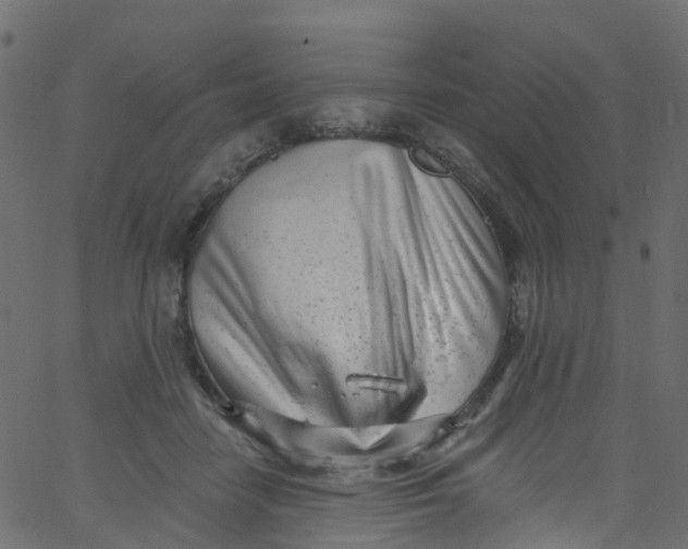 X0000062690458200601111340