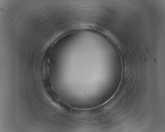 X0000062690485200601111339