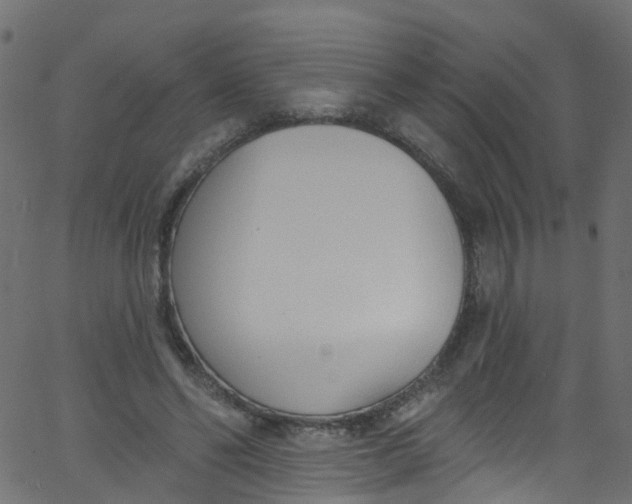 X0000062690494200601111339