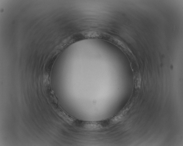 X0000062690521200601111339
