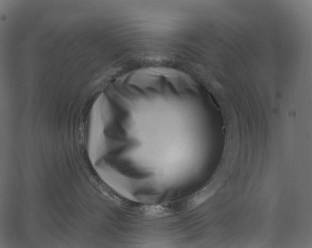 X0000062690528200601111339