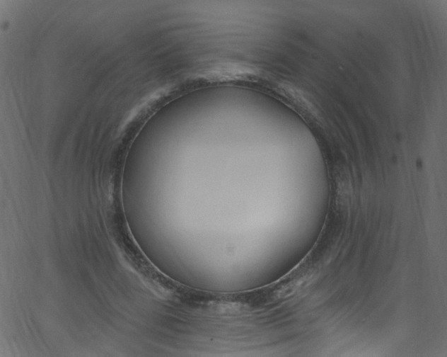X0000062690539200601111338