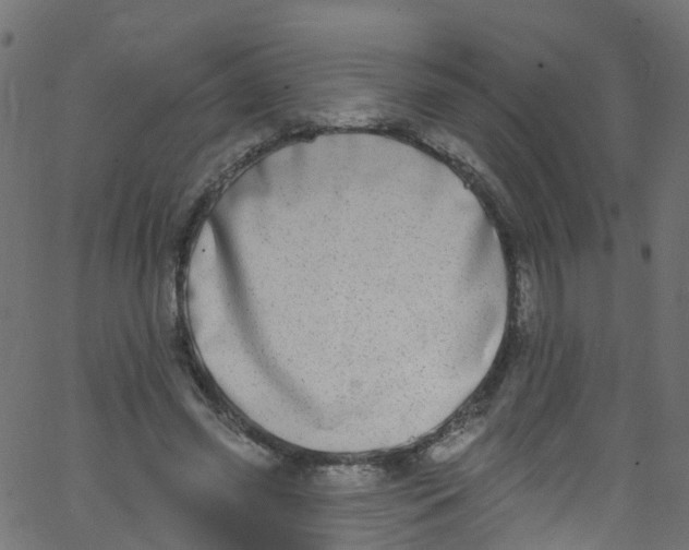 X0000062690541200601111338