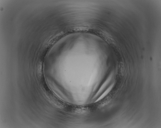 X0000062690550200601111338
