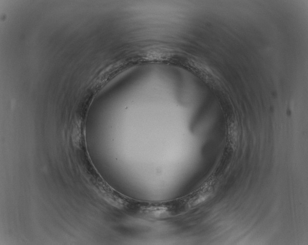 X0000062690554200601111338