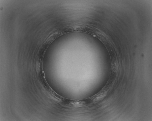X0000062690558200601111338