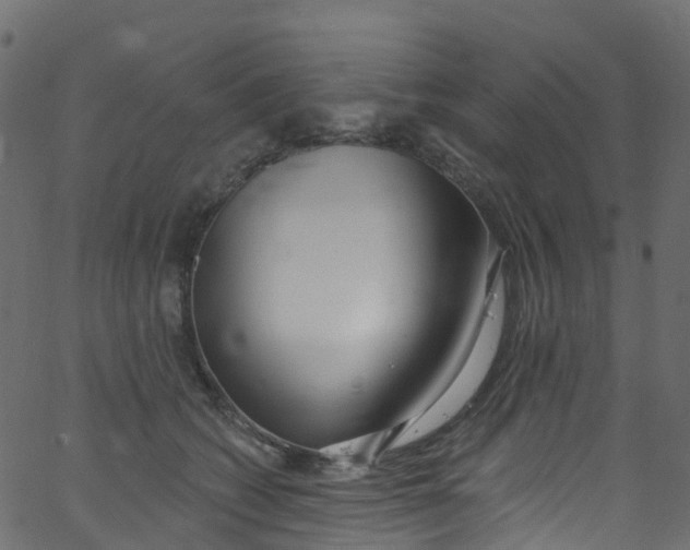 X0000062690562200601111339