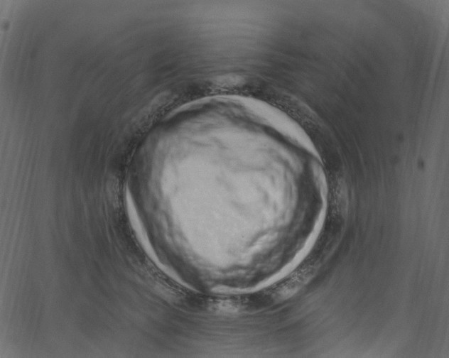 X0000062690565200601111339