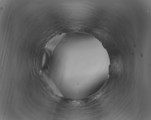 X0000062690566200601111339