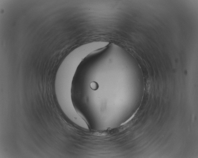 X0000062690570200601111339