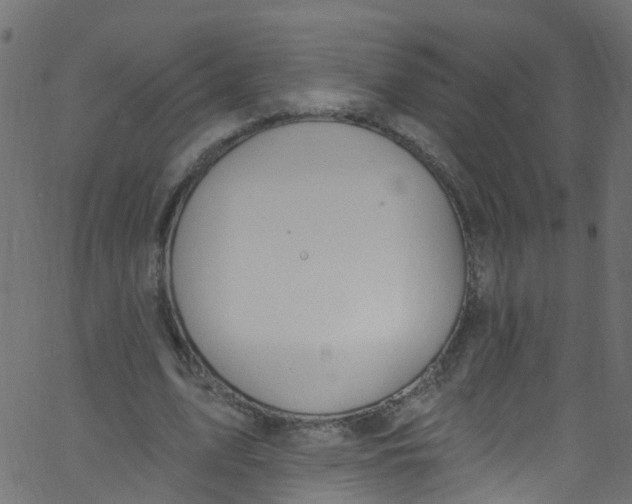X0000062690583200601111338
