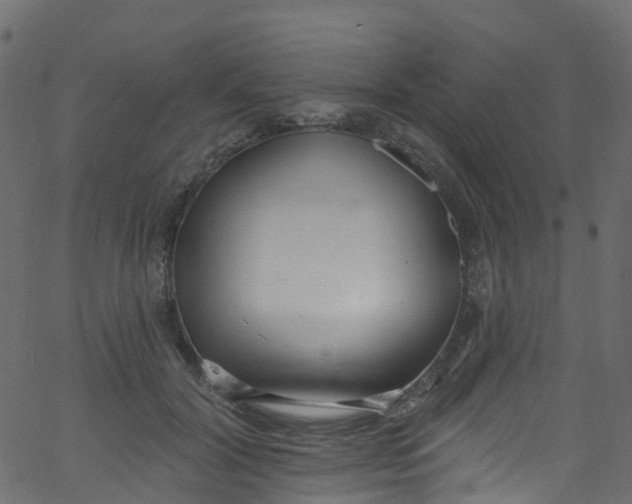 X0000062690604200601111338