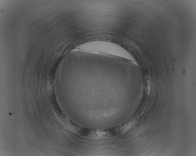 X0000062690607200601111337
