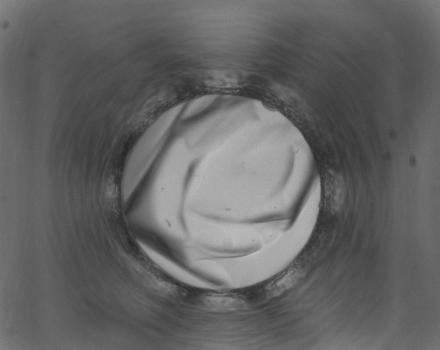 X0000062690614200601111337