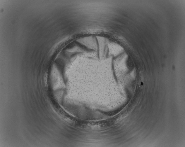 X0000062690640200601111337