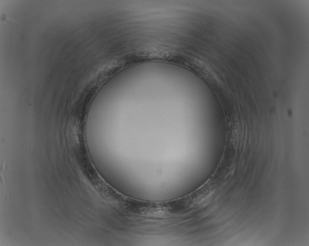 X0000062690643200601111337