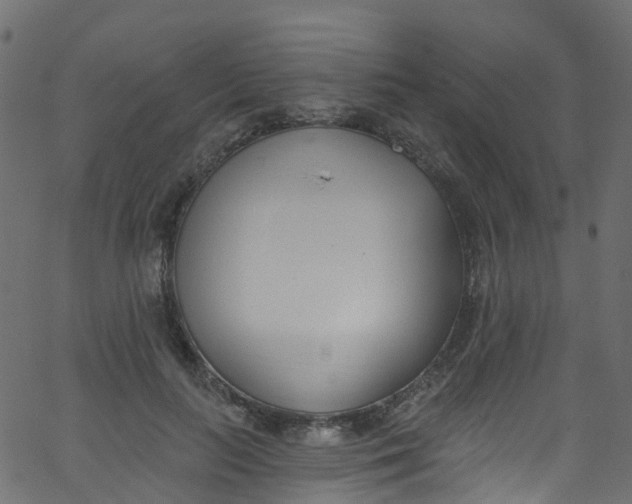X0000062690647200601111337