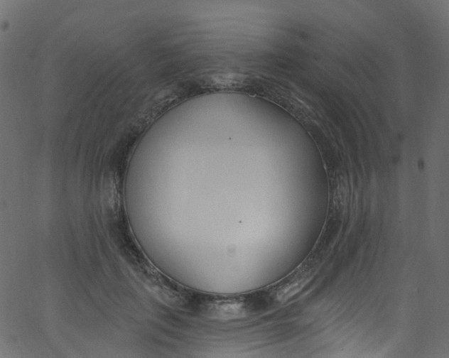 X0000062690651200601111337