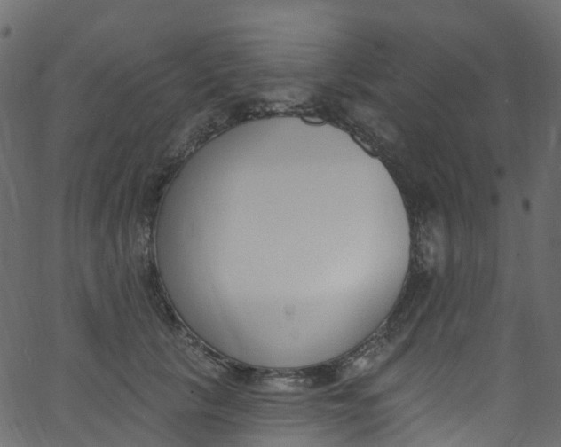 X0000062690657200601111337
