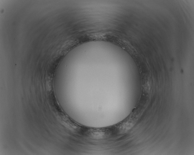 X0000062690658200601111337