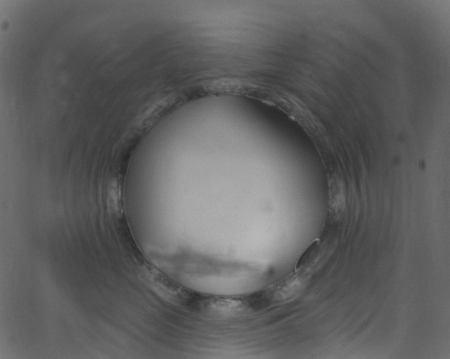 X0000062690669200601111337