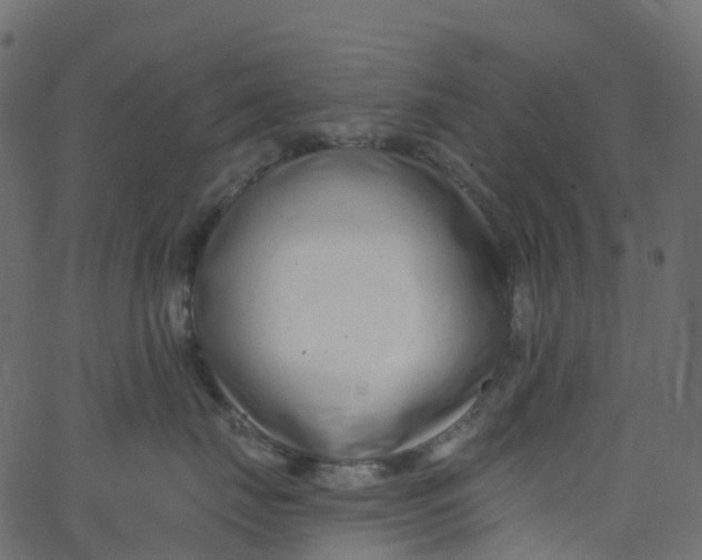 X0000062690671200601111337