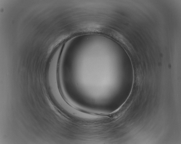 X0000062690677200601111336