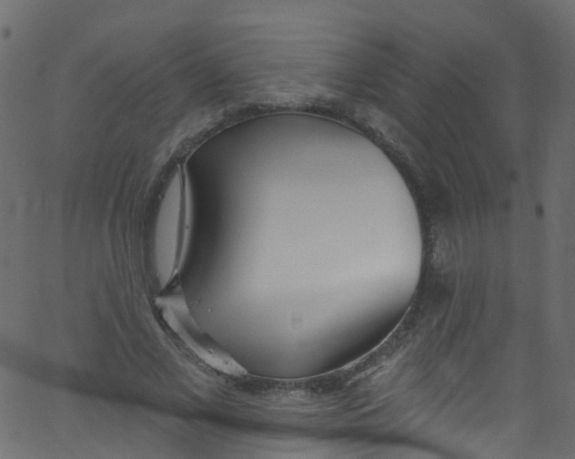X0000062690685200601111336