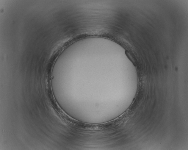 X0000062690688200601111336