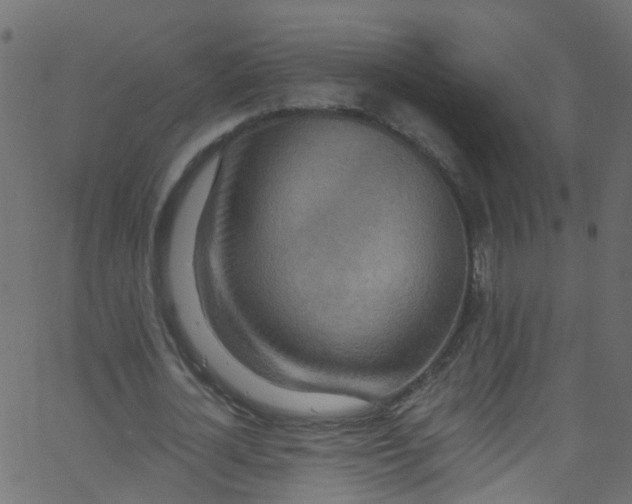 X0000062690724200601111335
