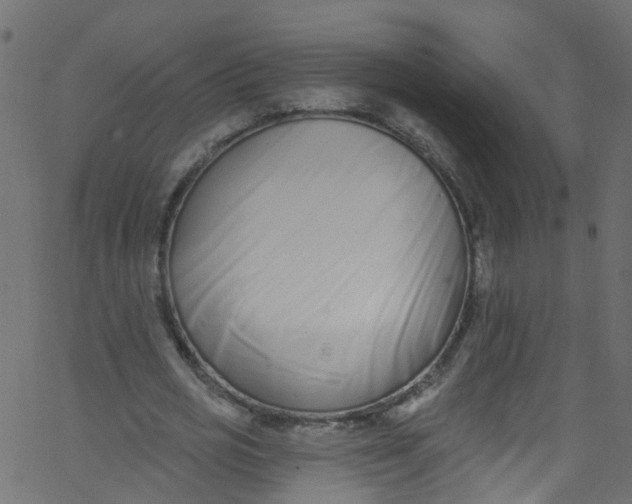 X0000062690725200601111335