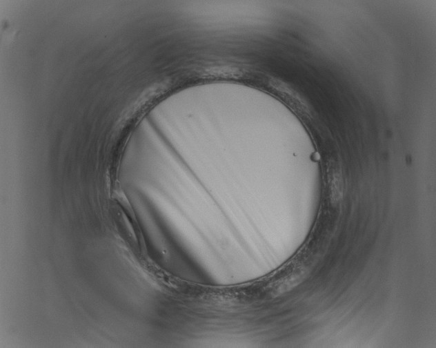 X0000062690729200601111335