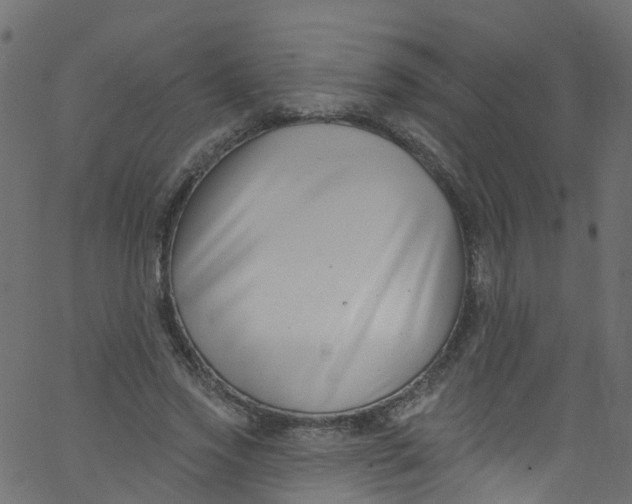 X0000062690733200601111335