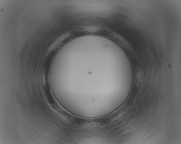 X0000062690734200601111335