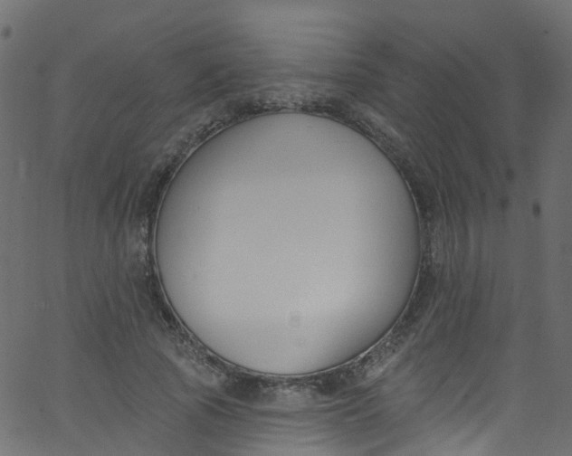 X0000062690737200601111335